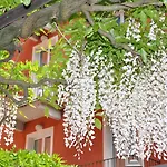 Hotel Cavour 30tre - Moderno Per Tradizione