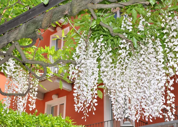 ホテル Cavour 30tre - Moderno